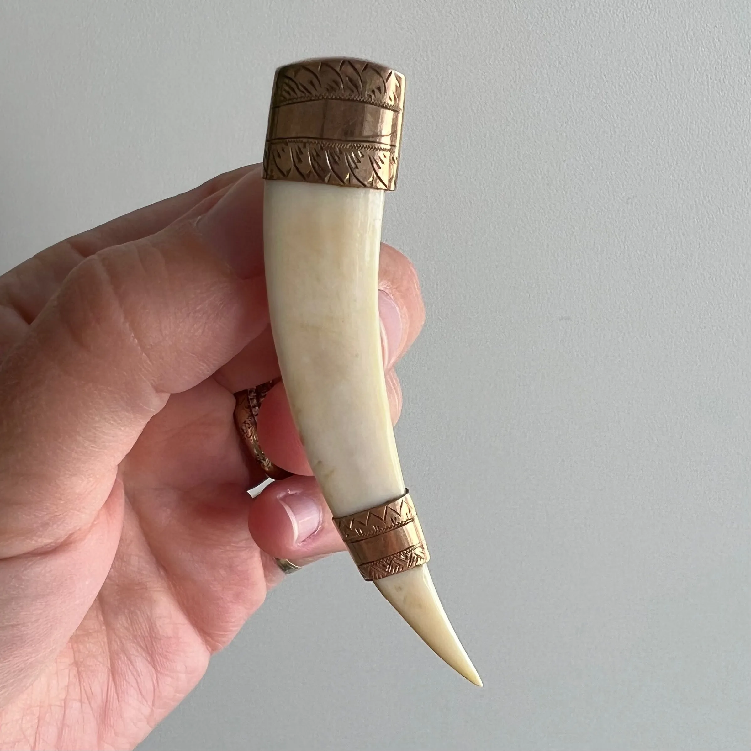 A N T I Q U E // double tusk / 9k capped victorian tusk / a brooch