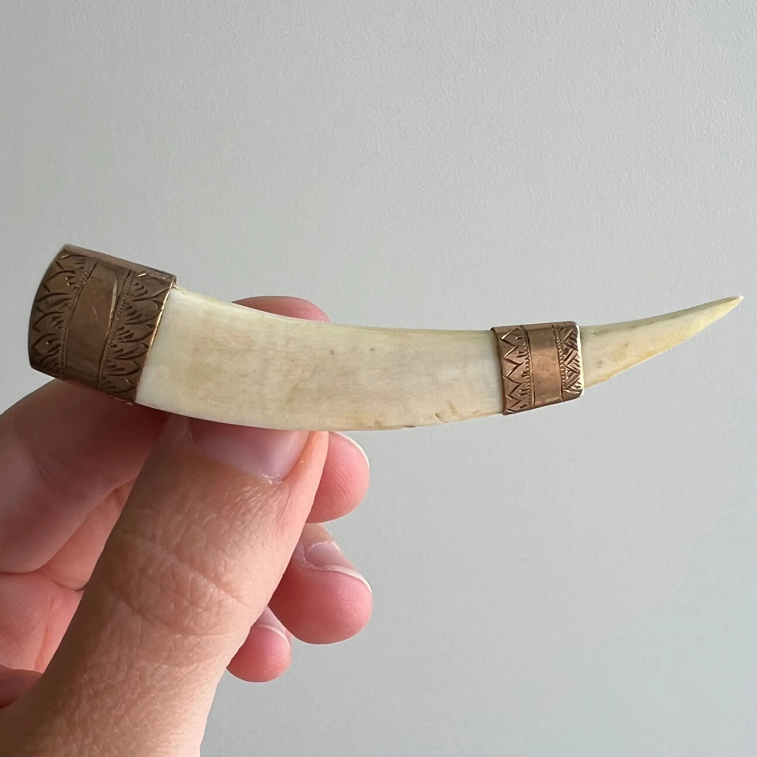 A N T I Q U E // double tusk / 9k capped victorian tusk / a brooch