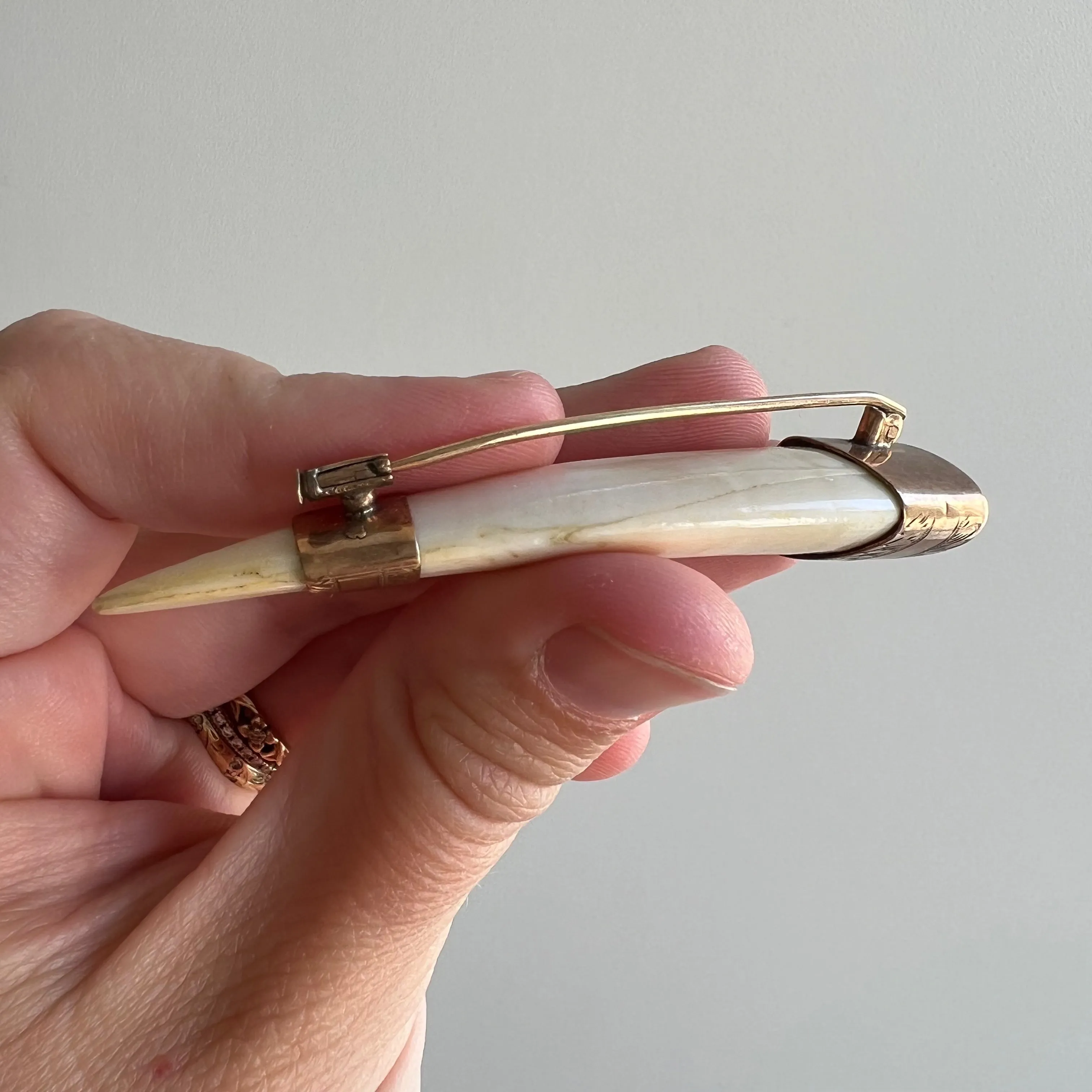 A N T I Q U E // double tusk / 9k capped victorian tusk / a brooch